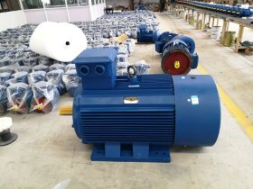 變頻防爆電機代號-防爆電機防爆標識CT4和BT4區(qū)別